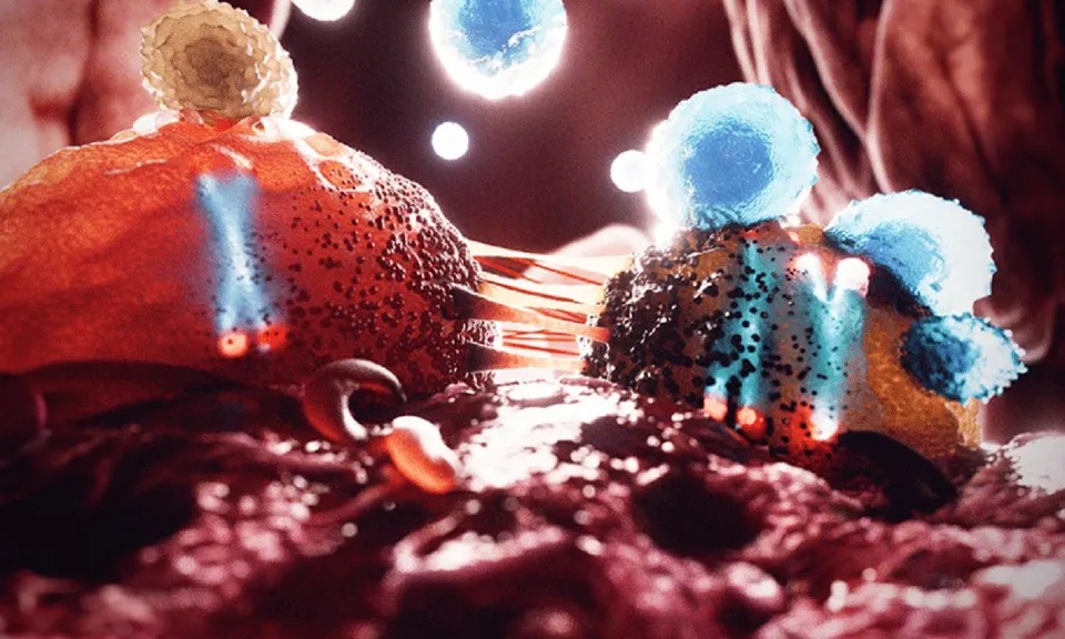 Y chromosomes cancer.jpg