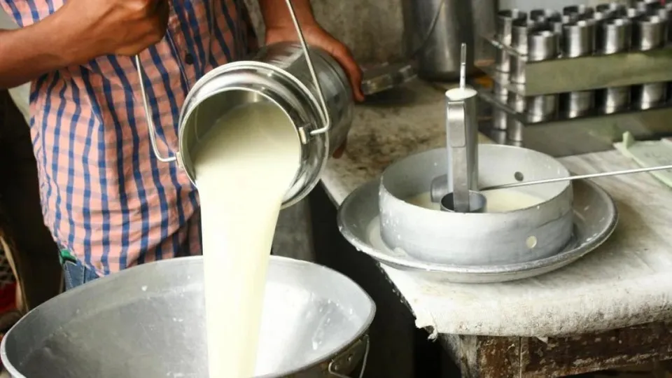 Milk Production Dairy