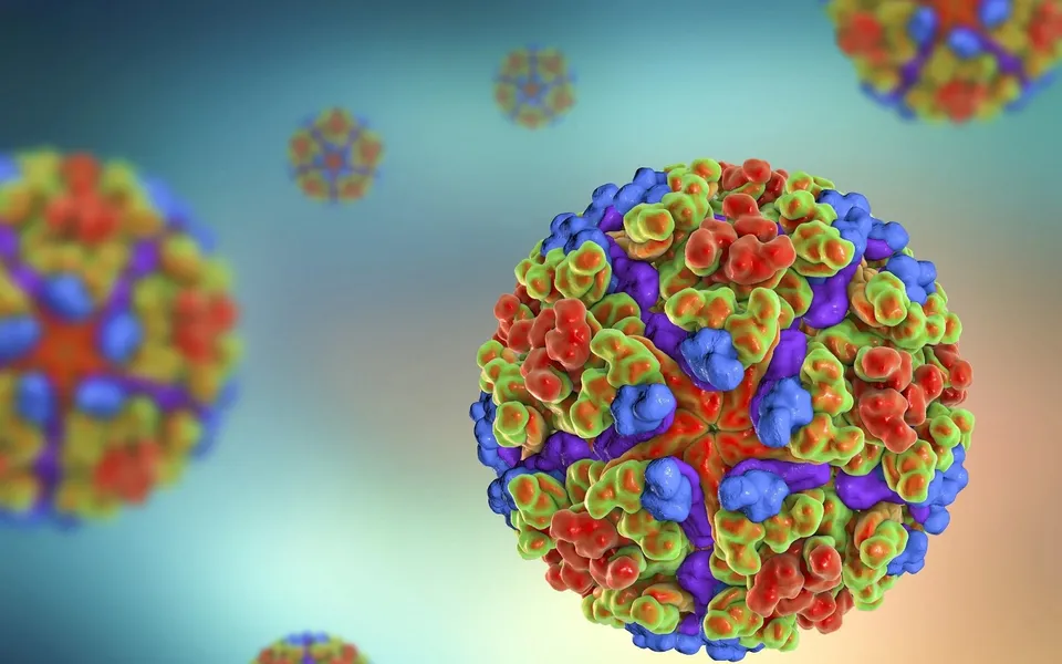 Chikungunya virus.jpg