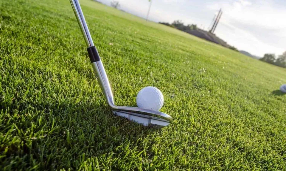 Golf field and ball.jpg