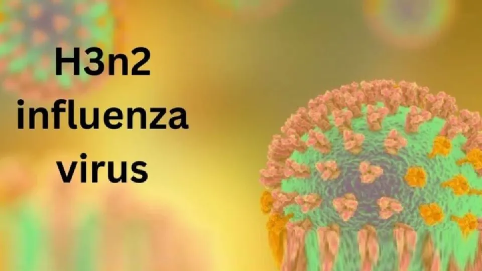 H3N2 Influenza Virus