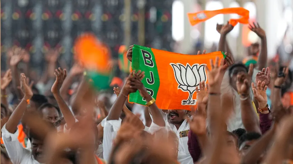 BJP Flags 