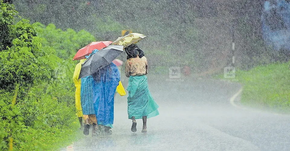 wayanad kerala rain.jpg