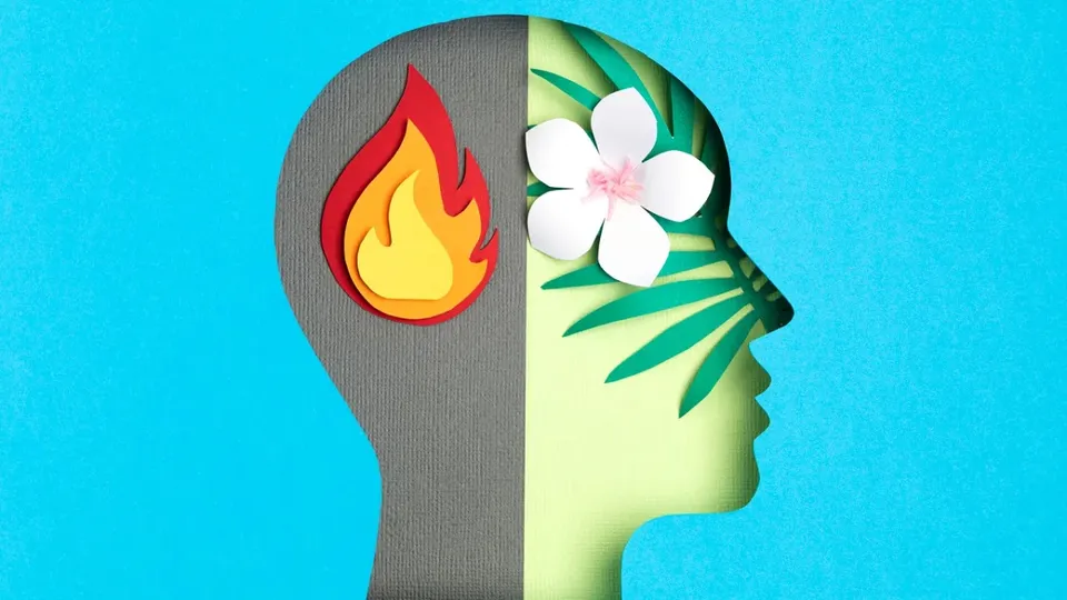Bipolar disorder.jpg