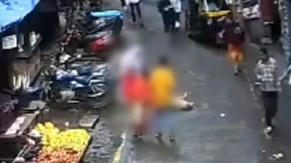 Dog falls on girl in Thane