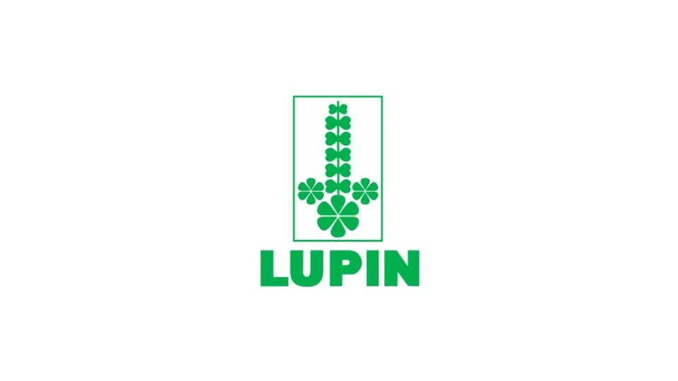 Lupin