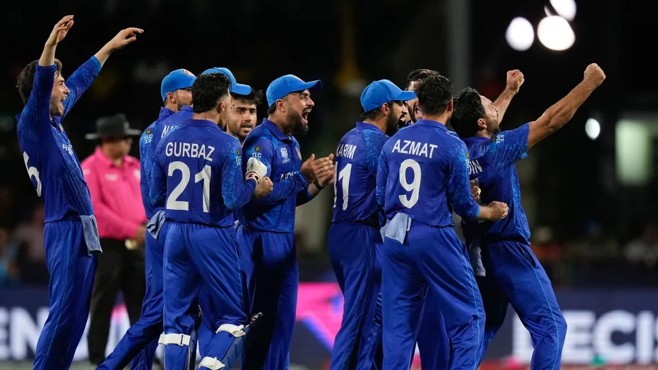 Afghanistan players celebrate the dismissal of Australia's Tim David during the men's T20 World Cup cricket match