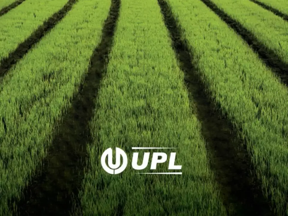 UPL.webp