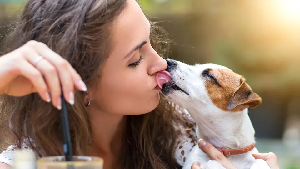 Kiss your pet.jpg