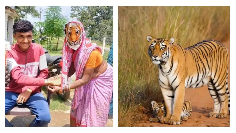 Pench Tiger Reserve