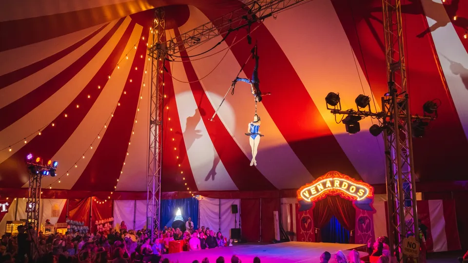 circus life.jpg