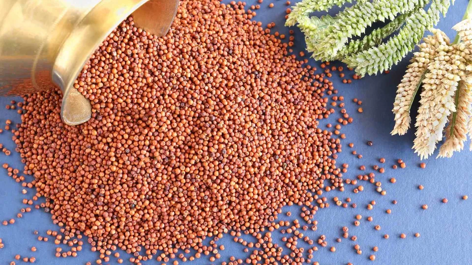 ragi.jpg