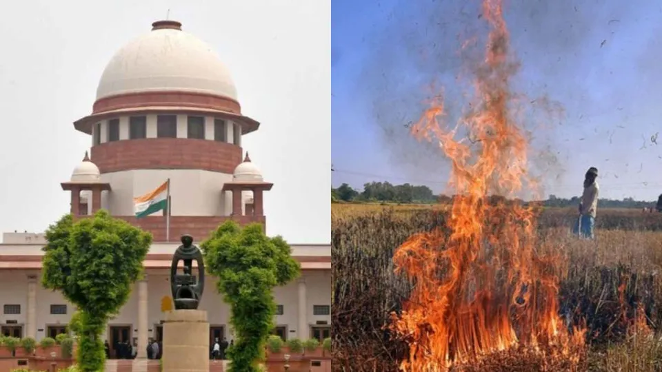 Supreme Court Stubble Burning