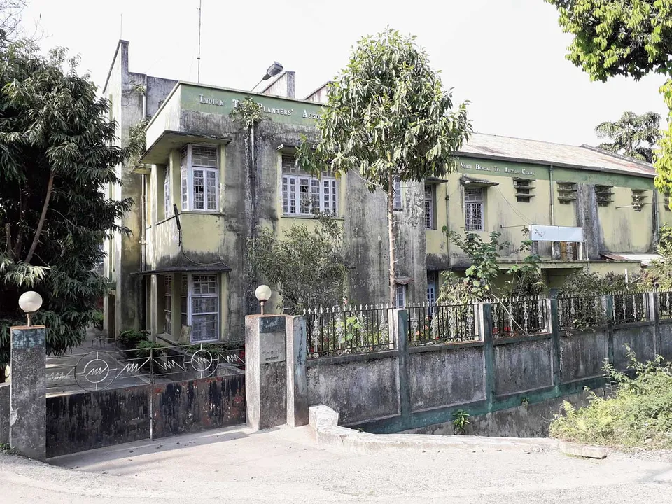 Jalpaiguri tea auction centre