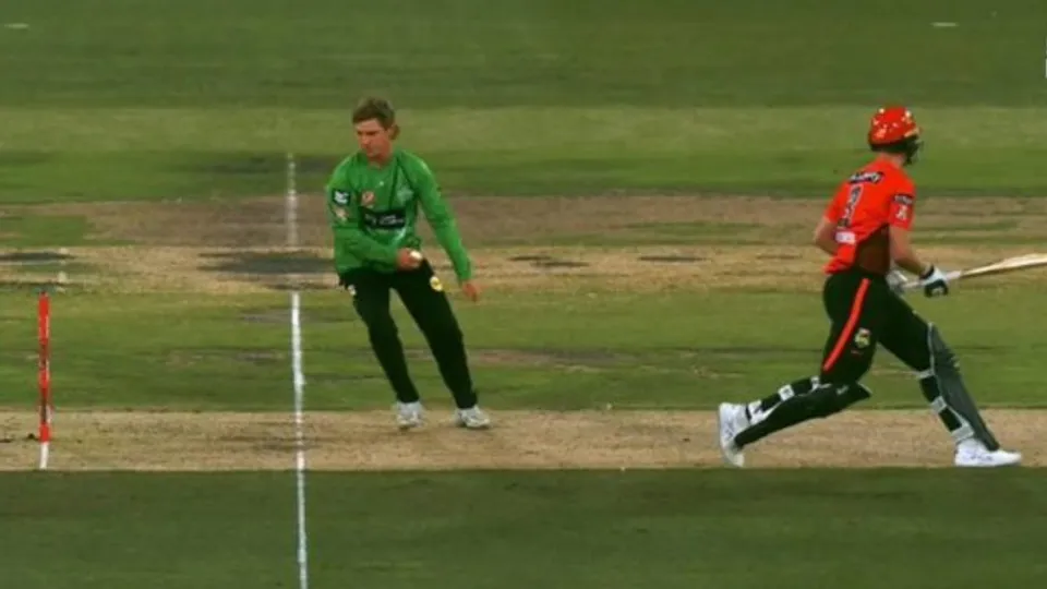 adam-zampa-mankad