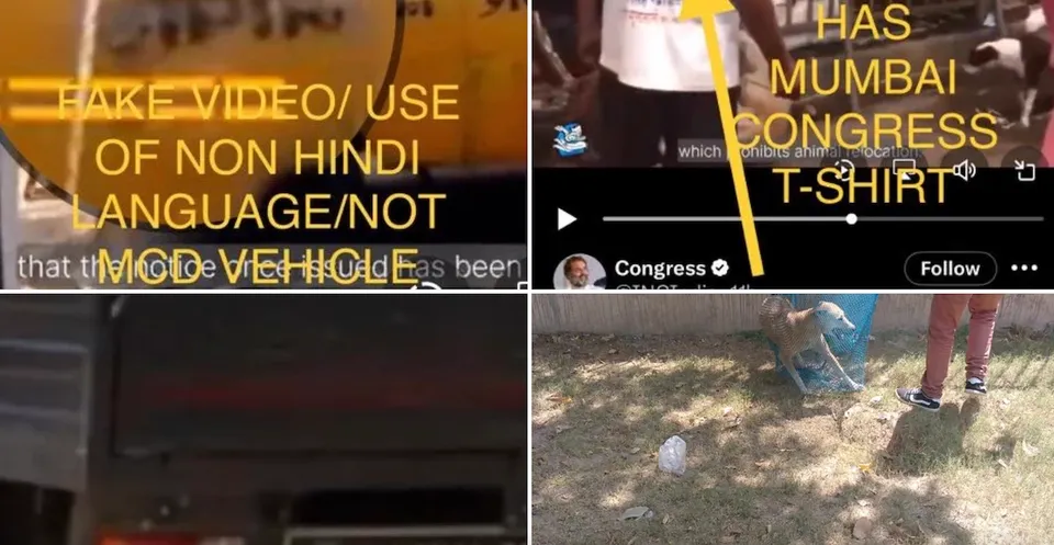 MCD Congress dogs g20 new delhi