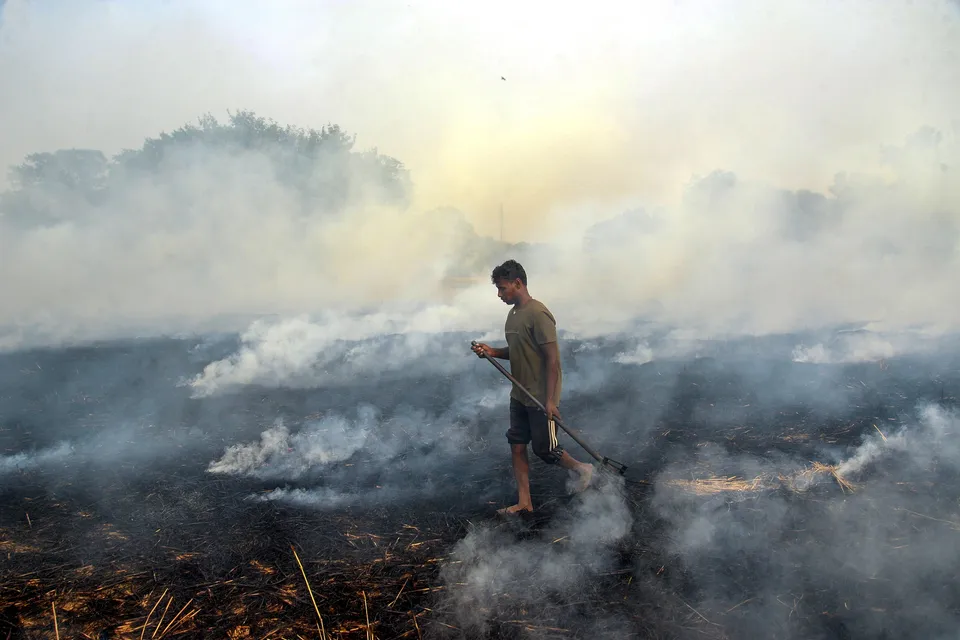 Stubble Burning pollution Smog Delhi Punjab