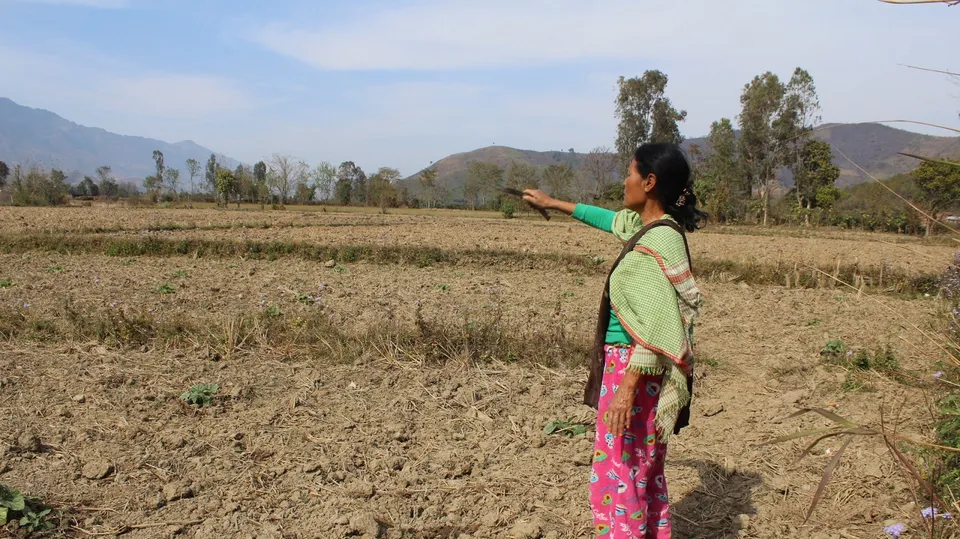Manipure woman farmer.jpg