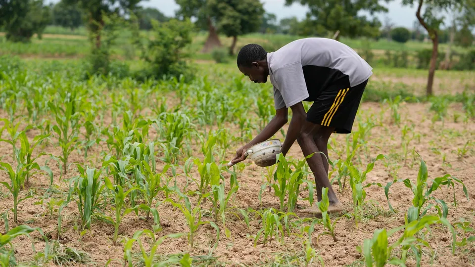 Nigerian farmer.jpg