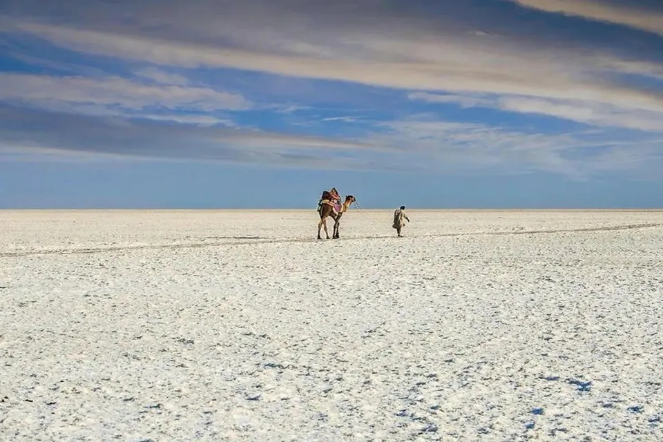 Salt land kutch.jpg