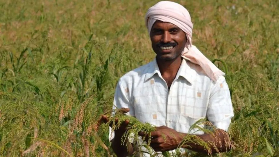 millet farmers