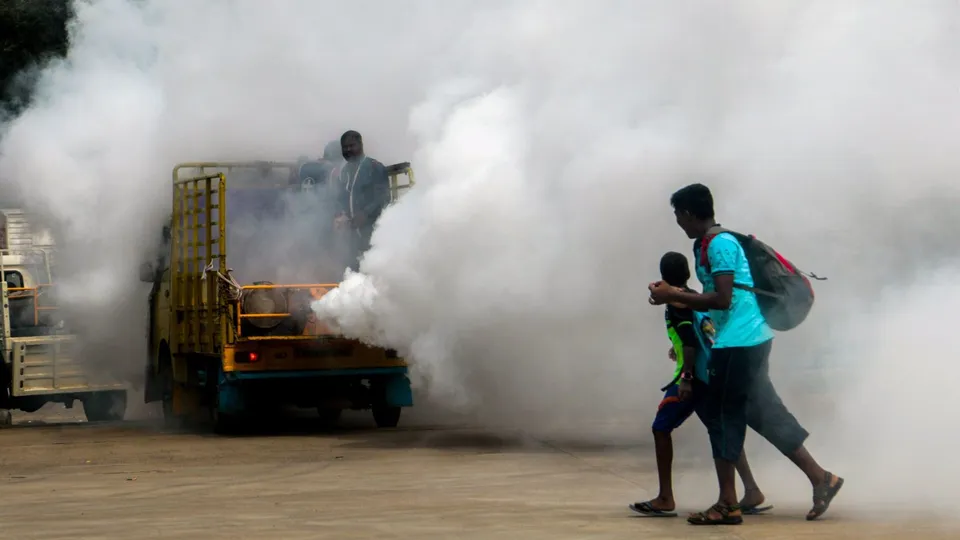 Dengue Malaria Chikungunya
