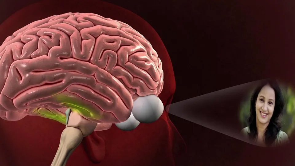  Fusiform face area.jpg
