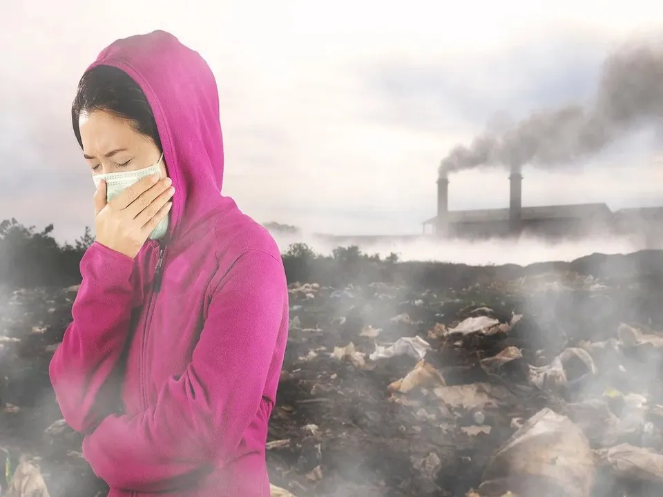 Air Pollution Heart Disease.jpg