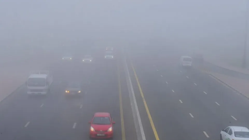 foggy road