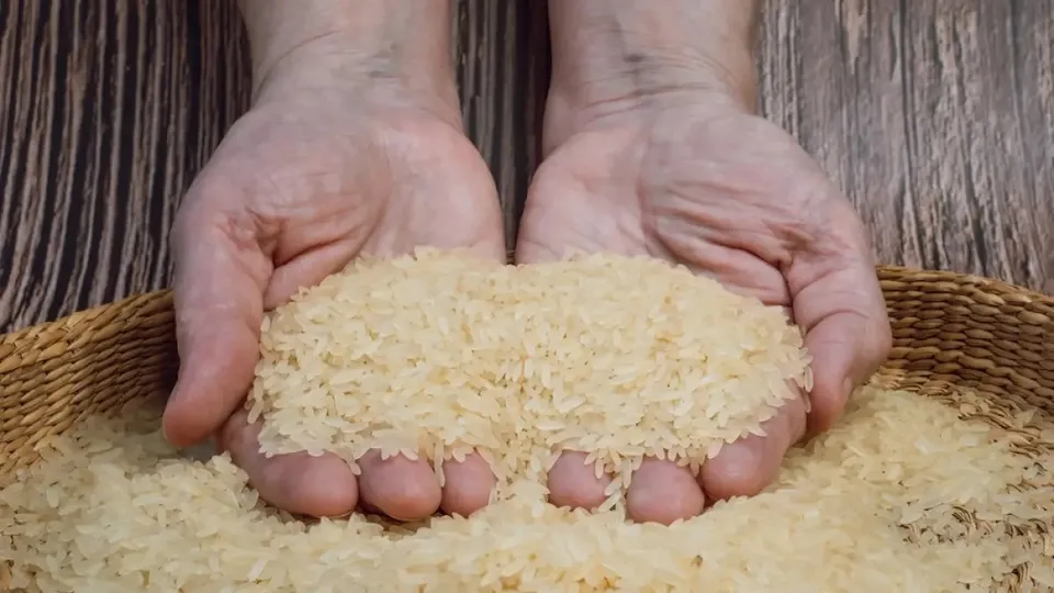 rice fortification
