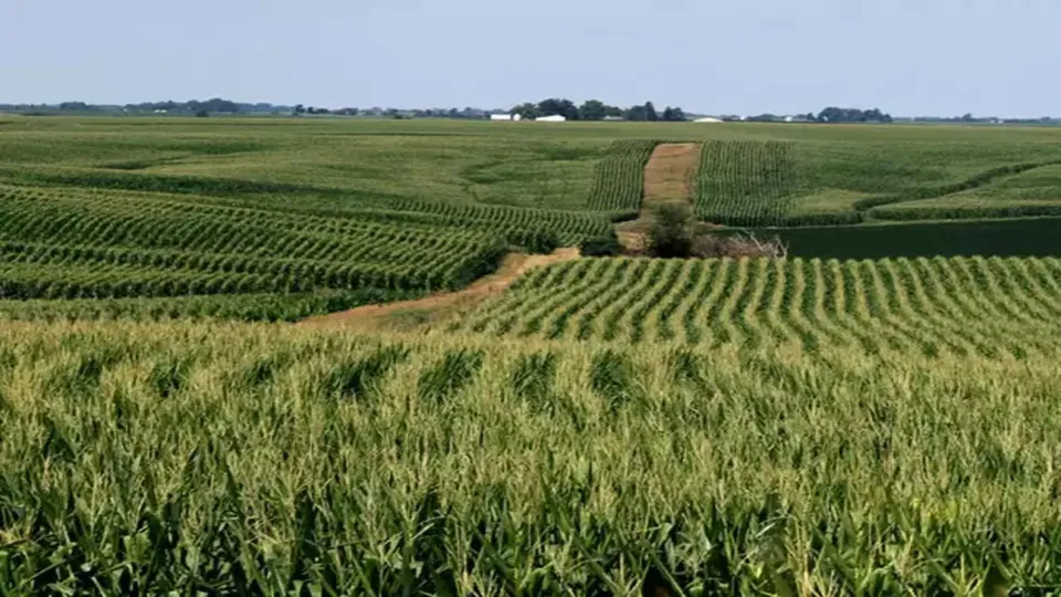 farmland Farming agriculture 