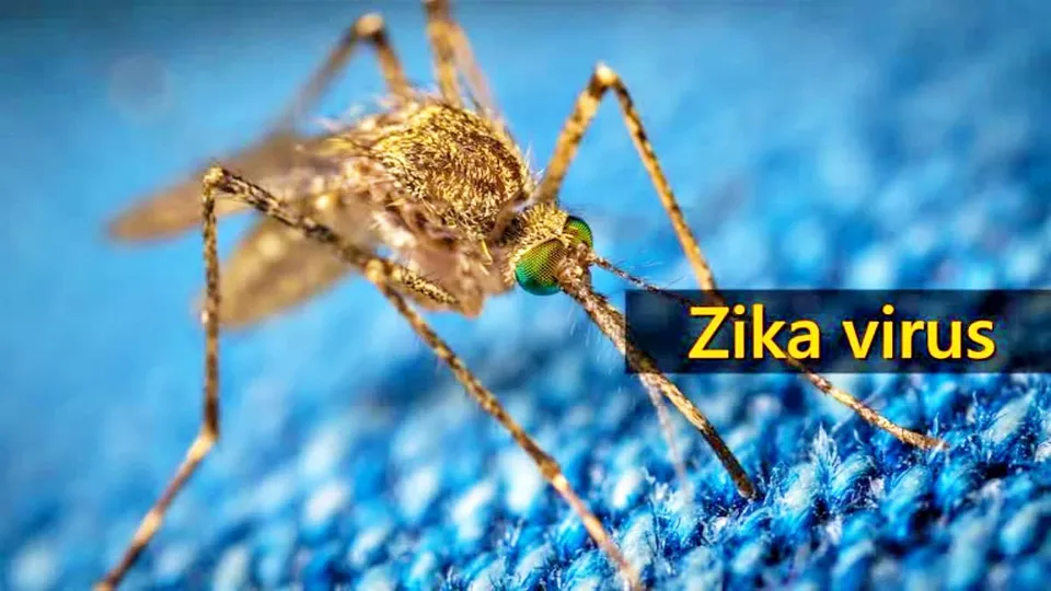 Zika Virus Vaccine