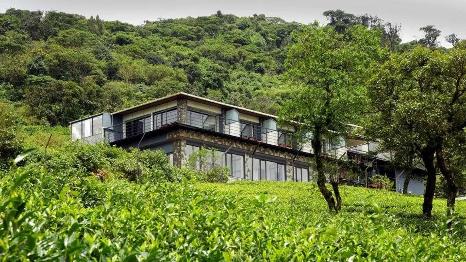 Tea Plantation House.jpg