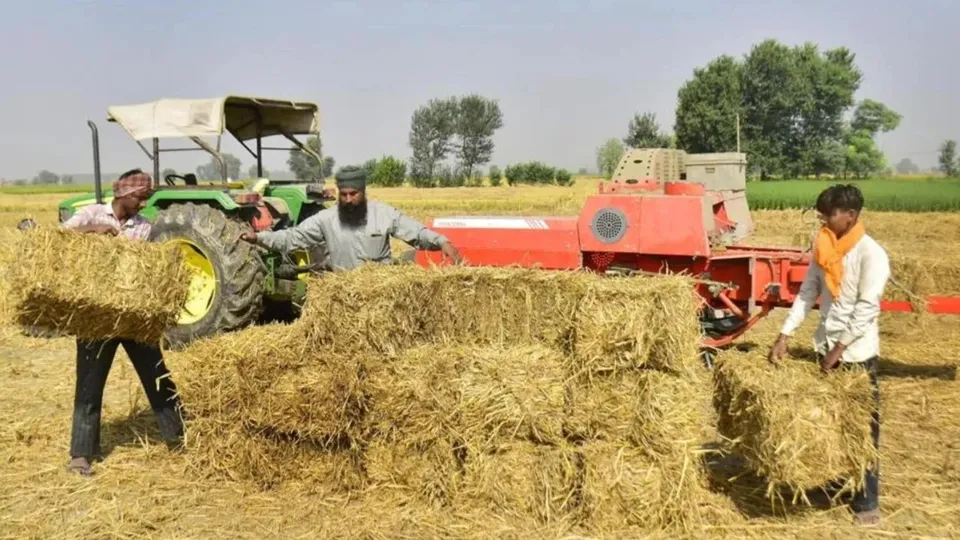 Punjab straw management.jpg