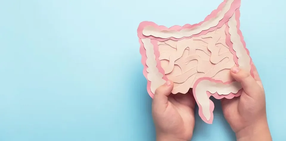 Intestine bacteria.jpg