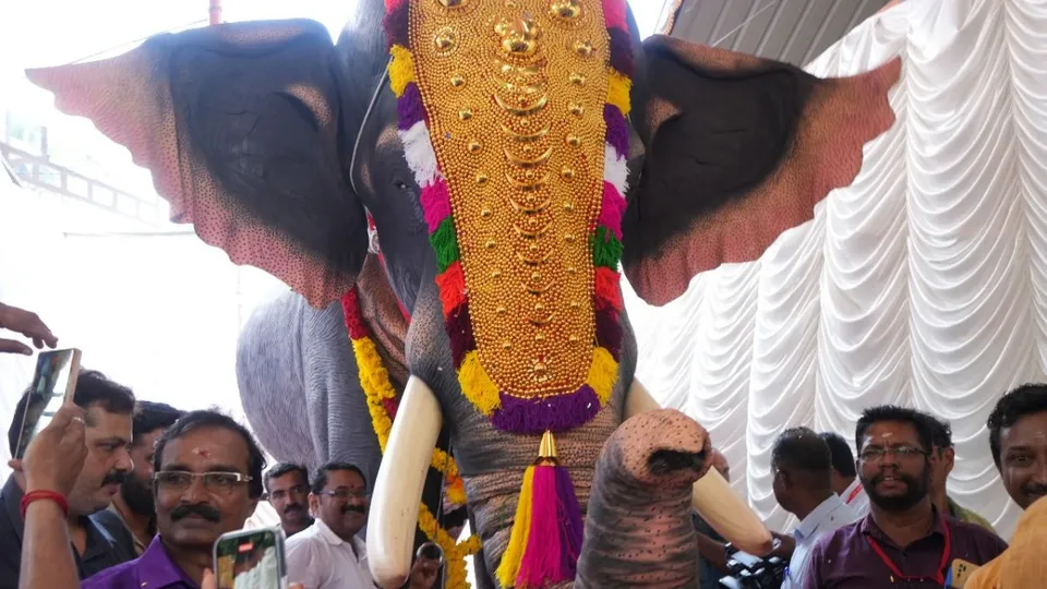 Actor Adah Sharma and PETA India donated Baladhasan, a life-size mechanical elephant, to Pournamikavu Temple in Thiruvananthapuram