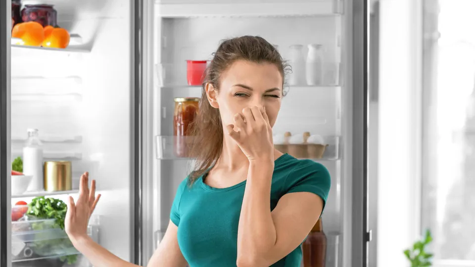 smelling freezer.jpg