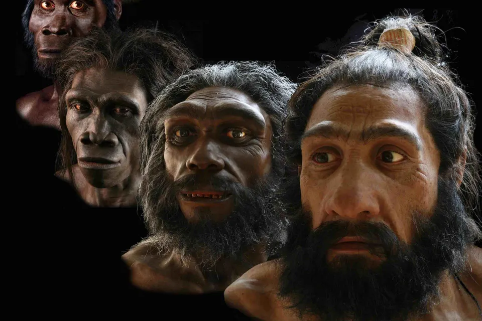 Racist Sexist Human Evolution.jpg