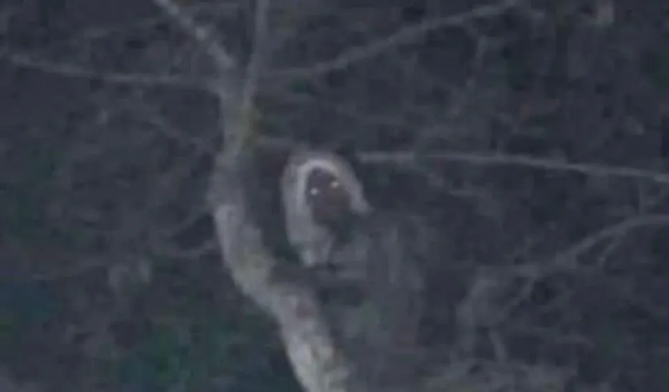 Mexican president posts photo of elf, a mischievous woodland spirit