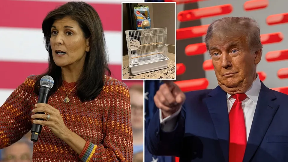 Nikki Haley Donald Trump