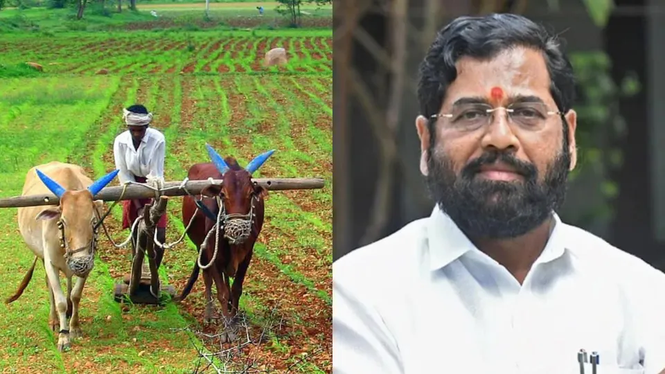 Maharashtra Farmers Eknath Shinde