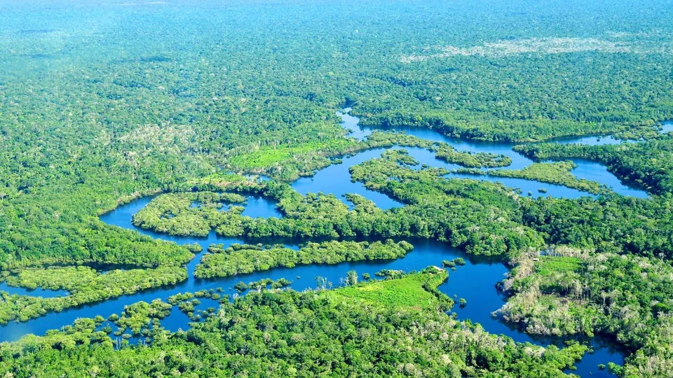 Amazon rainforest
