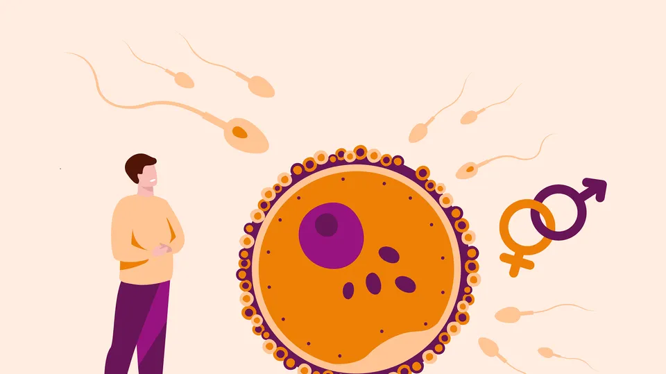 male infertility.png