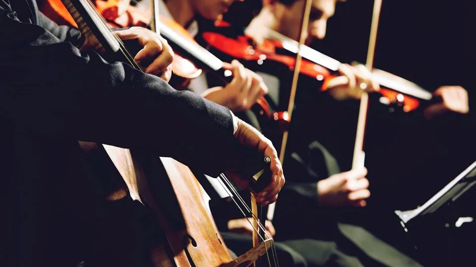 violin.jpeg