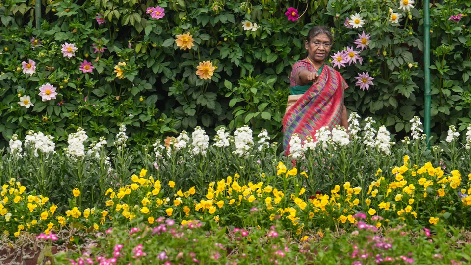 President Droupadi Murmu Amrit Udyan