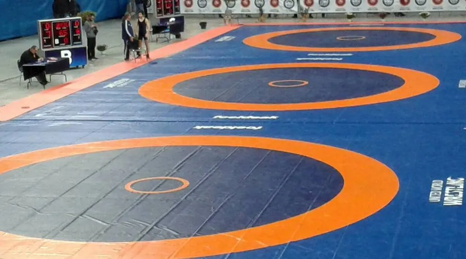 wrestling federation india.jpg