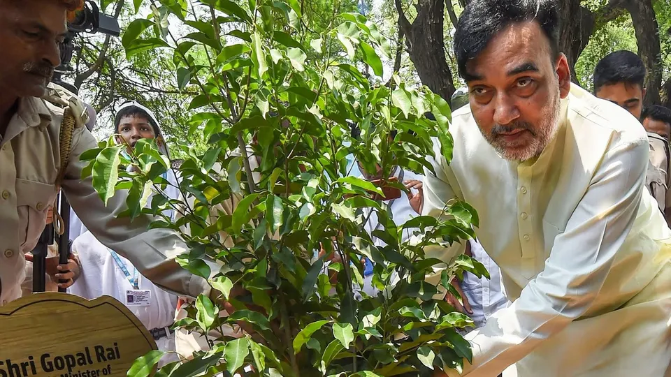 Gopal Rai Sapling plantation.jpg