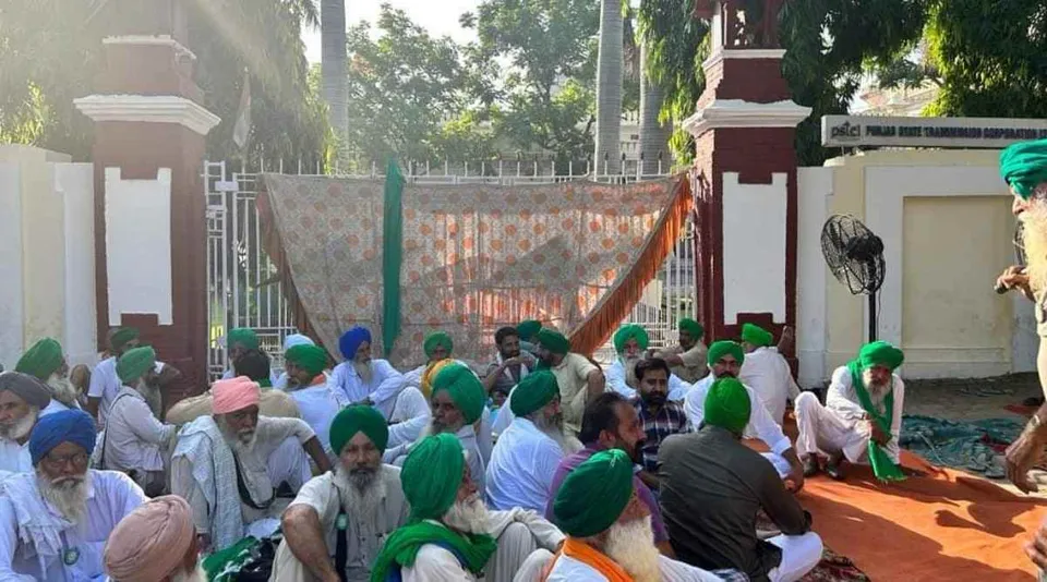 sunflower seed farmers.jpg