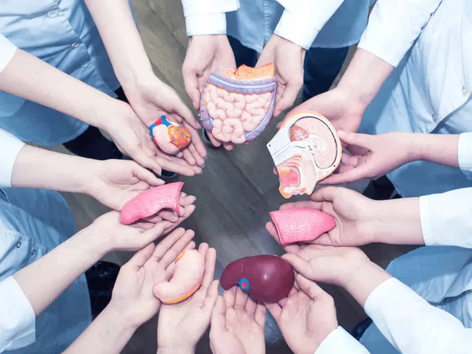 ORGAN DONATION.png