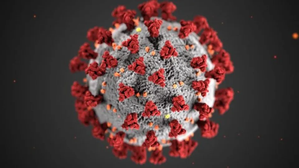 India reports 3,688 new infections and 50 fatalities; recovery rate recorded at 98.74%